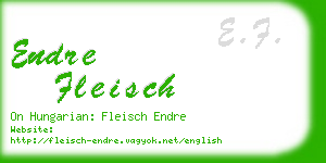 endre fleisch business card